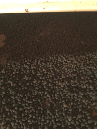 Bilden ovan visar ett kapilärbrytande skikt leca kulor / lättklinkerkulor torpargrunden. 