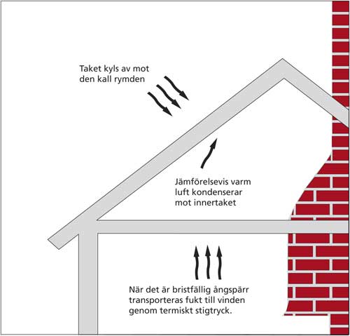Orsaker till fukt på kallvind